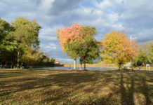 PHOTOS: Fall foliage at Hempstead Lake State Park Hempstead Lake State Park