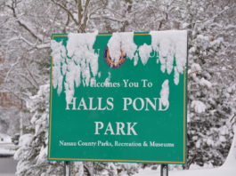 Major Snowstorm to hit West Hempstead Sunday into Monday