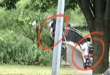 Dirt bikers ride across Halls Pond