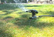 Watering lawn rules and regulations