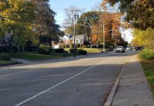 Cops Seek Tips In Local Hit and Run