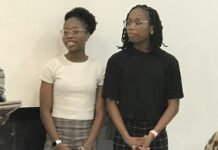 This Week In West Hempstead – Week of February 22nd