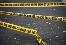 New York State Trooper Shot on Southern State Parkway; Suspect at Large