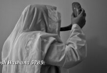 Rosh Hashana 5785 – New Years Greetings from West Hempstead Rabbis